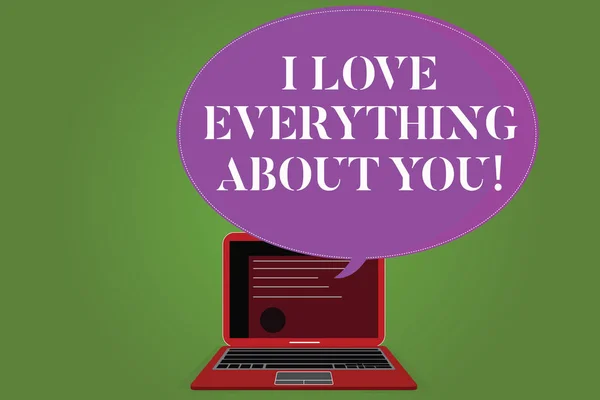 Texto de escrita de palavras I Love Everything About You. Conceito de negócio para Expressando sentimentos e emoções roanalysistic Layout Certificado na tela do laptop e em branco meio tom cor Speech Bubble . — Fotografia de Stock