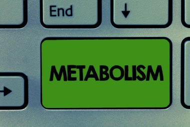 Kavramsal el metabolizma gösterilen yazma. İş fotoğraf vitrine kimyasal enerji gıda üretmek için gövdesini işler