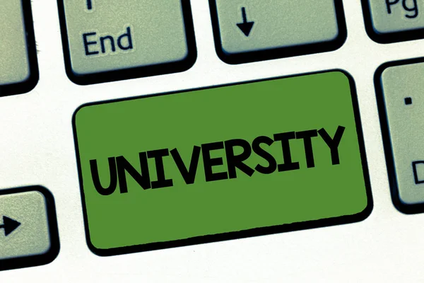 Text sign showing University. Conceptual photo Highlevel educational institution students study for degrees — Stock Photo, Image