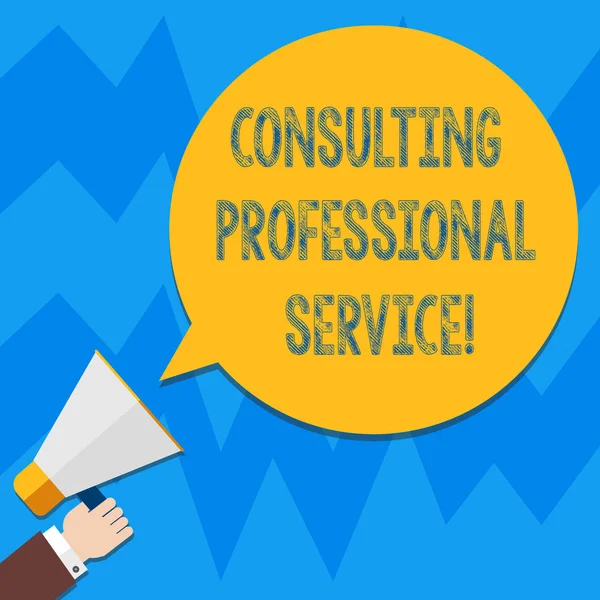 Tekst til tekstskrivning Consulting Professional Service. Forretning koncept for Søg ekspertudtalelse om business beslutning Hu analyse Hand Holding Megaphone Blank Runde Farve Tale Bubble foto . - Stock-foto