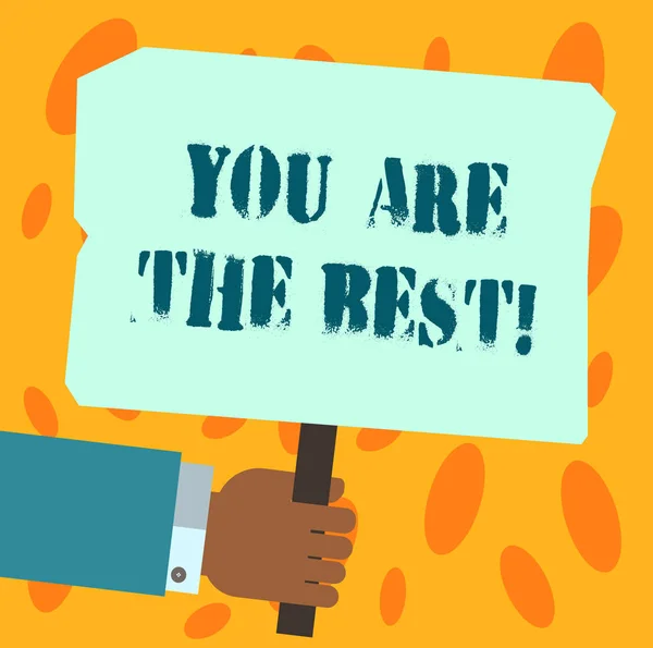 Text sign showing You Are The Best. Conceptual photo Appreciation of your qualities and abilities great skills Hu analysis Hand Holding Blank Colored Placard with Stick photo Text Space.