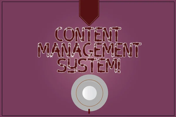 Writing note showing Content Management System. Business photo showcasing Manages creation and reform of digital content Coffee Cup Top View Reflection on Blank Color Snap Planner.