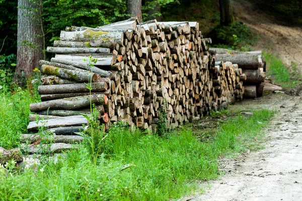 Pilha de madeira crua na grama pela floresta. Conceito da indústria com madeira e madeira. Pilha de madeira preparada para a lenha de fogo no inverno . — Fotografia de Stock