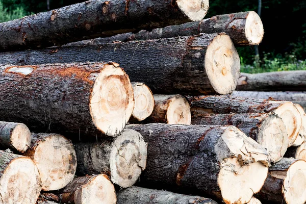 Stack of raw wooden lumber on the grass by the forest. Industry concept with lumberyard and wood. Pile of lumber prepared for the fire wood in the winter. — Stock Photo, Image