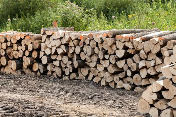 Stack of raw wooden lumber on the grass by the forest. Industry concept with lumberyard and wood. Pile of lumber prepared for the fire wood in the winter.