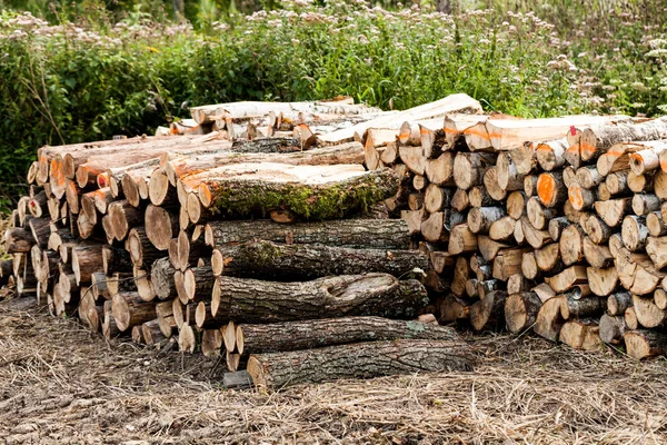 Stack of raw wooden lumber on the grass by the forest. Industry concept with lumberyard and wood. Pile of lumber prepared for the fire wood in the winter.