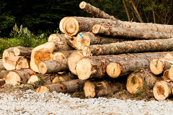 Stack of raw wooden lumber on the grass by the forest. Industry concept with lumberyard and wood. Pile of lumber prepared for the fire wood in the winter.