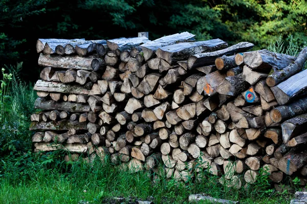 Zásobník surového dřevěné řezivo na trávě u lesa. Odvětvové pojetí s pile a dřevo. Hromada dříví připravené pro palivového dřeva v zimě. — Stock fotografie