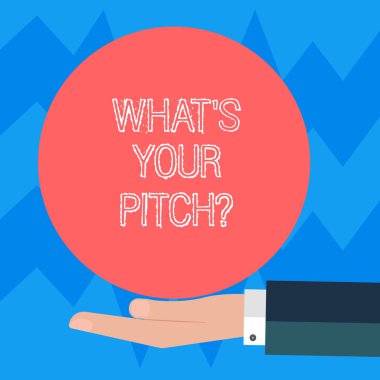 Ne S's Your Pitchquestion gösterilen metin işareti. Kavramsal fotoğraf yapmak kararlı bir çaba Hu analiz bir şey almak için el takım sunan boş düz renk çemberinde Logo posterler için.