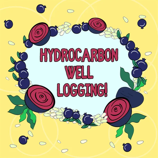 Texte manuscrit Hydrocarbon Well Logging. Concept signifiant enregistrement des formations géologiques d'une couronne florale de minuscules graines Petite grenade brillante et betterave coupée . — Photo