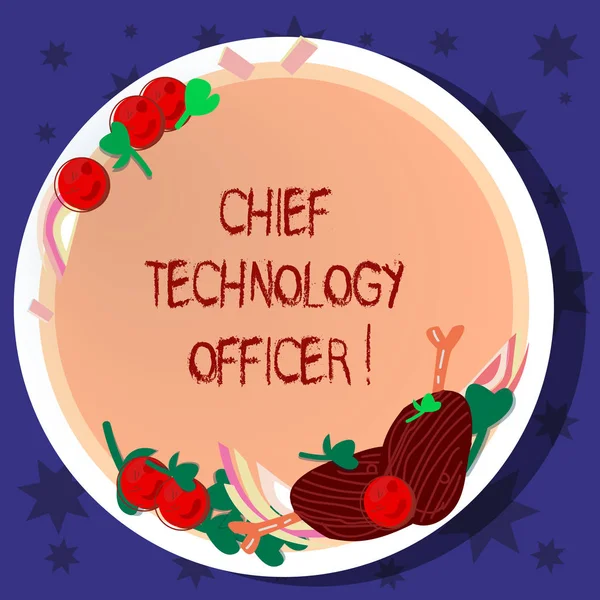 Word writing text Chief Technology Officer. Business concept for focused on scientific and technological issues Hand Drawn Lamb Chops Herb Spice Cherry Tomatoes on Blank Color Plate.