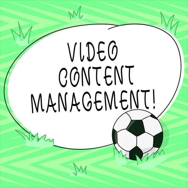 Znak textu zobrazující Video Content Management. Konceptuální fotografie posouzení jednotlivých s je reakcí na produktu fotbalový míč na trávu a prázdné nastínil kulatý tvar barvu fotografie. — Stock fotografie