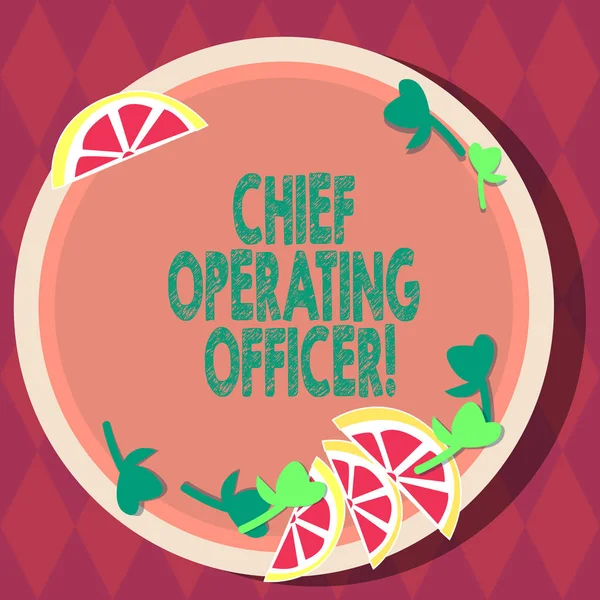 Handwriting text Chief Operating Officer. Concept meaning responsible for the daily operation of the company Cutouts of Sliced Lime Wedge and Herb Leaves on Blank Round Color Plate.