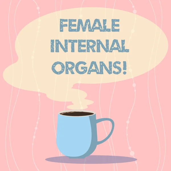 Word writing text Female Internal Organs. Business concept for The internal genital structures of the Mug photo Cup of Hot Coffee with Blank Color Speech Bubble as Steam icon. — Stock Photo, Image