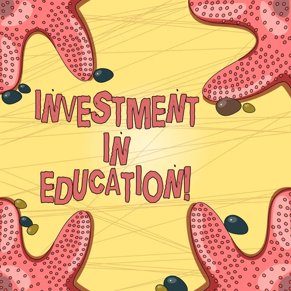 Writing note showing Investment In Education. Business photo showcasing Attain knowledge which will increase earning Starfish on Four Corners with Pebbles for Poster Ads Cards.