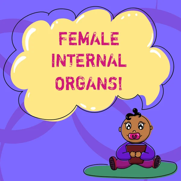 Writing Obs visar kvinnliga inre organ. Företag foto skylta de inre genitala strukturerna Baby sammankomst den matta med napp bok och Cloud pratbubblan. — Stockfoto
