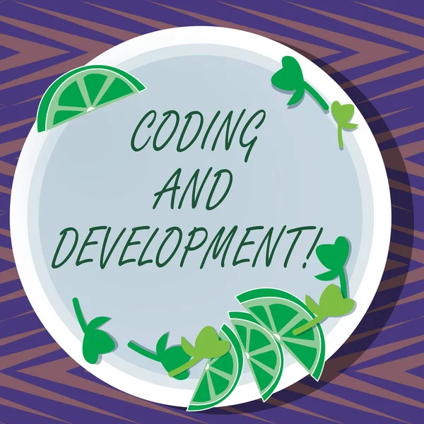 Ord skriva text kodning och utveckling. Affärsidé för att programmera eller skapa en programvara eller någon ansökan utklipp av skivad Lime Wedge och ört lämnar på tomma runda färgplåt. — Stockfoto