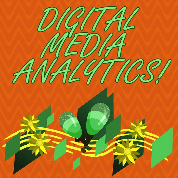 Note d'écriture montrant Digital Media Analytics. Photo d'affaires mettant en valeur l'analyse des informations provenant d'une entreprise Instrument coloré Maracas Fleurs faites main et personnel musical incurvé . — Photo