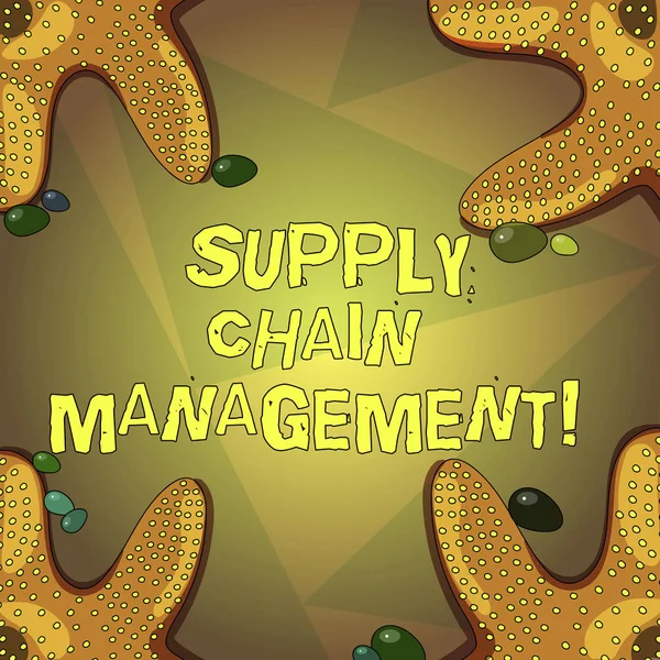 Word writing text supply chain management. Geschäftskonzept zur Analyse des Waren- und Dienstleistungsflusses Seesterne-Foto an vier Ecken mit bunten Kieselsteinen für Plakatwerbekarten. — Stockfoto