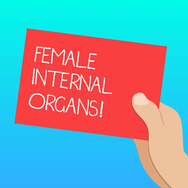 Handwriting text Female Internal Organs. Concept meaning The internal genital structures of the Drawn Hu analysis Hand Holding Presenting Blank Color Paper Cardboard photo. — Stock Photo, Image