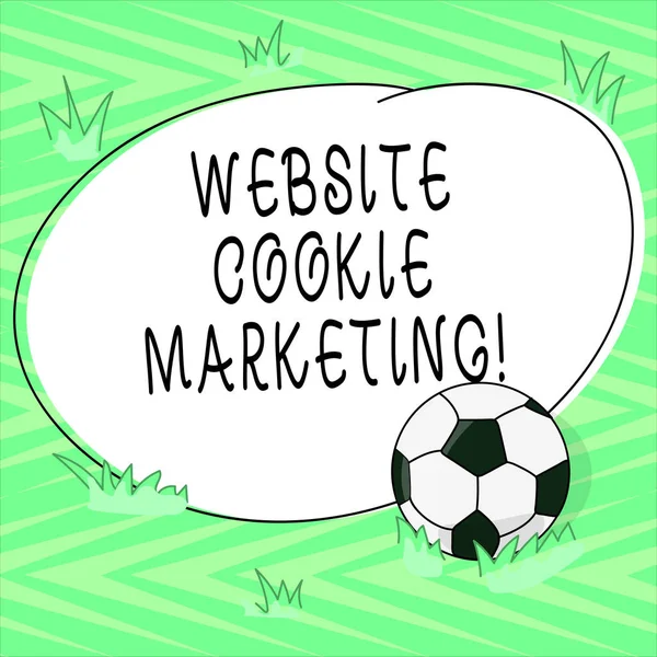 Textzeichen, das Website-Cookie-Marketing zeigt. konzeptionelle Bildinformationen und Einsichten der Webpage-Benutzer Fußball auf dem Rasen und blank umrissenes rundes Farbformfoto. — Stockfoto