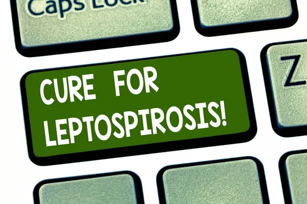 Conceptual hand writing showing Cure For Leptospirosis. Business photo showcasing Treating the contagious disease by taking antibiotics Keyboard key Intention to create computer message idea. — Stock Photo, Image