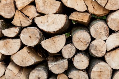 Sawed ağaç gövdeleri ve dalları farklı boyutlarda mavi konteyner ahşap depolama sektöründe Kazıklı. Arka plan kıyılmış kuru odun günlükleri küme içinde birbiri üstüne yığılmış