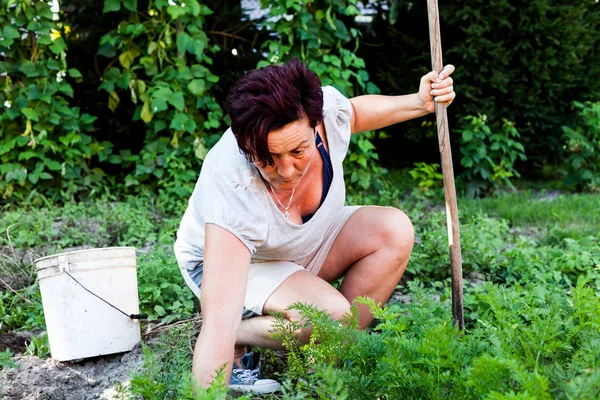 Cidden yere bakarken diz bükme brunet bir kadın. Hazırlık dikim için toprak işlenme makineler bir bahçıvan. Bulunmayan ve kavram Bahçe. Tarım fikir.