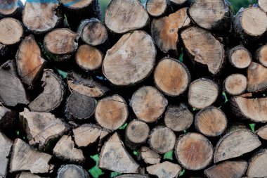 Sawed ağaç gövdeleri ve dalları farklı boyutlarda mavi konteyner ahşap depolama sektöründe Kazıklı. Arka plan kıyılmış kuru odun günlükleri küme içinde birbiri üstüne yığılmış