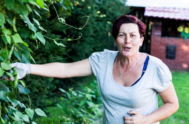 Arka bahçede sarmaşıklar üzerinde büyüyen sebzeler gösterilen bir gülümseyen kadın görünümünü duruldu. Bitki meyve tutan mutlu bir yüz. Hasat. Tarım kavramı.