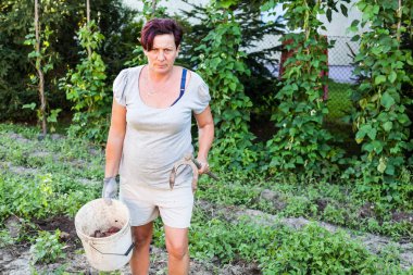 Orta bir kova bitkileri güneşli bir günde gösterilen kadın yaşlı. Bir çapa tutan çiftçi sebze dikim toprak pulluk için kullanın. Organik ve ev yapımı ürünler. Tarım ve Bahçe fikirler.