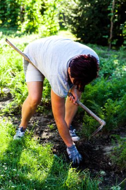 Yere çiftçilik çalışkan bahçıvan. Bükme ve otlar çıkarma topraktan kadın. Sezon ekime hazırlanması. Tarım ve Bahçe kavramı.