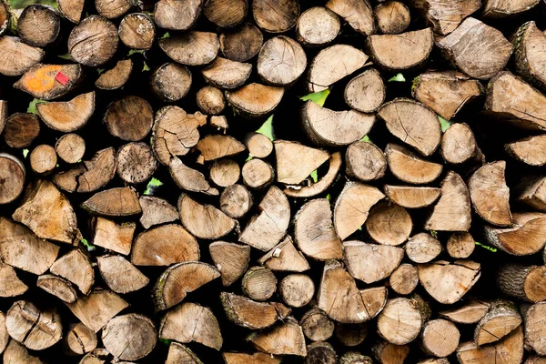 Άκρες των κορμών ξύλινο υπόβαθρο. τόνωση. ξύλο στη στοίβα. -Εικόνα. — Φωτογραφία Αρχείου