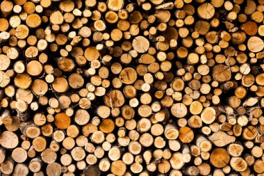 ends of logs wooden background. toning. wood in the stack. - Image. clipart