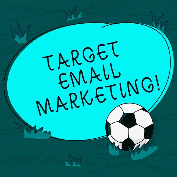 Scrittura concettuale a mano che mostra Target Email Marketing. Business photo testo della pubblicità viene inviato ad un elenco di destinatari pallone da calcio sull'erba e bianco forma rotonda foto a colori . — Foto Stock