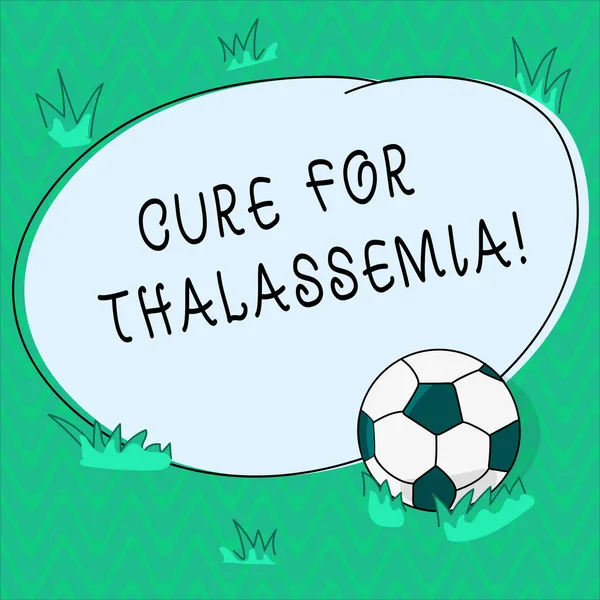 Word writing text Cure For Thalassemia. Business concept for Treatment needed for this inherited blood disorder Soccer Ball on the Grass and Blank Outlined Round Color Shape photo.