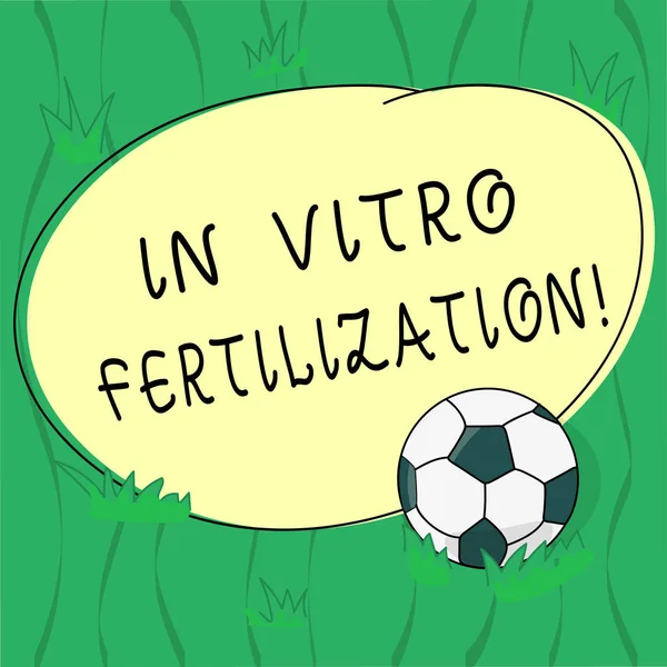 Word writing text In Vitro Fertilization. Business concept for Complex series of procedures used to treat fertility Soccer Ball on the Grass and Blank Outlined Round Color Shape photo.