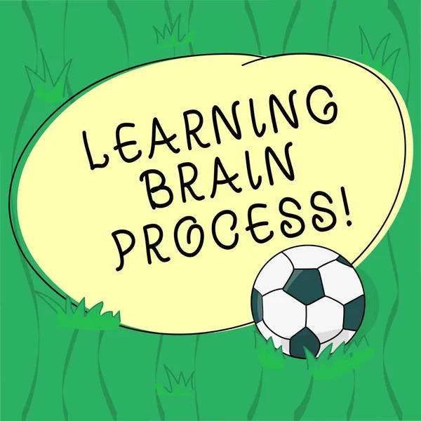 Word writing text Learning Brain Process. Business concept for Acquiring new or modifying existing knowledge Soccer Ball on the Grass and Blank Outlined Round Color Shape photo.