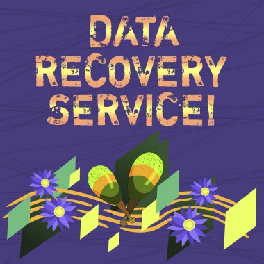 Kavramsal el gösterilen veri kurtarma hizmeti yazma. İş fotoğraf metin renkli enstrüman Maracas çiçekler ve müzikal personeli kavisli erişilemez ya da kayıp veri alma işlemi.