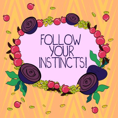 Conceptual hand writing showing Follow Your Instincts. Business photo text listen to your intuition and listen to your heart Floral Wreath made of Tiny Seeds Small Glossy Pomegranate. clipart