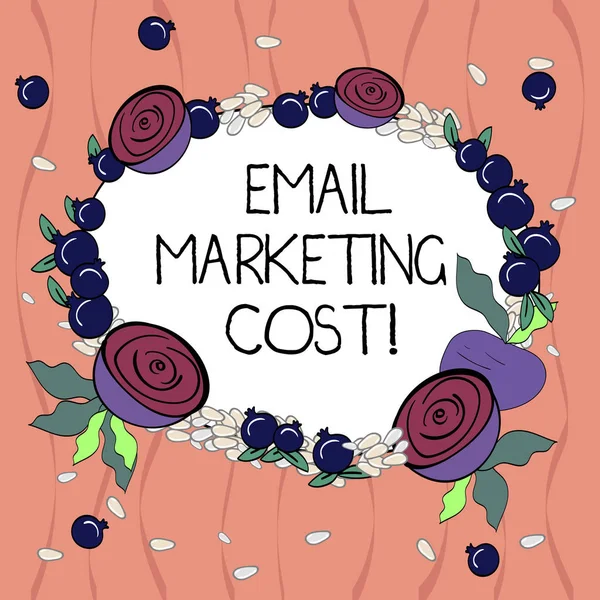 Word writing text Email Marketing Cost. Business concept for Is the price for sending a thousand email messages Floral Wreath made of Tiny Seeds Small Glossy Pomegranate and Cut Beet.