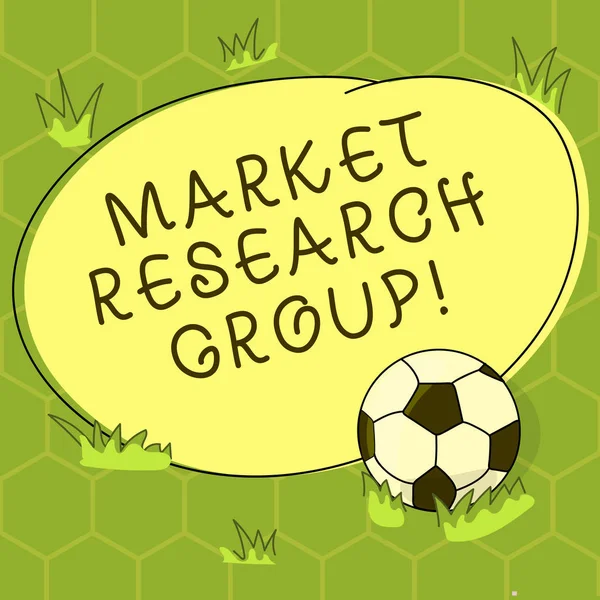 Conceptual hand writing showing Market Research Group. Business photo showcasing gather information about target markets or customers Soccer Ball on the Grass and Blank Round Color Shape photo.