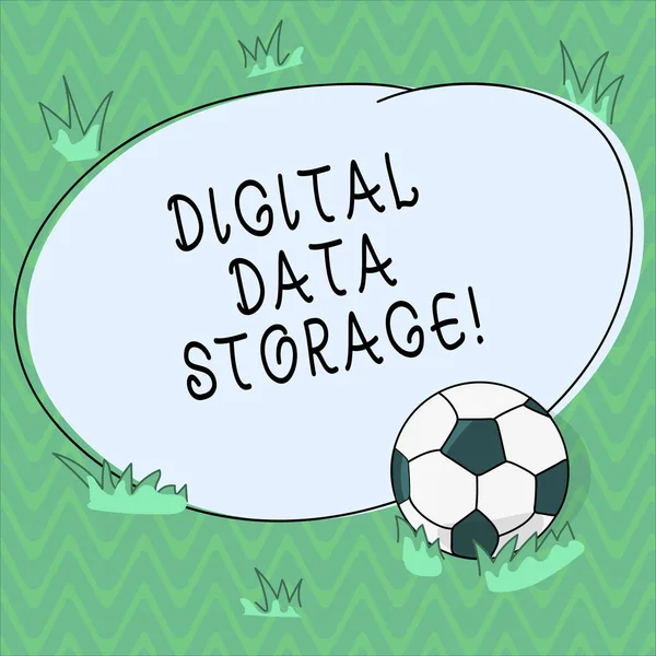 Word writing text Digital Data Storage. Business concept for format for storing and backing up computer data on tape Soccer Ball on the Grass and Blank Outlined Round Color Shape photo.