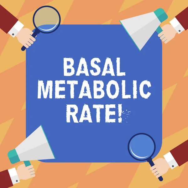 Text tecken visar Basal Metabolic Rate. Konceptuella foto Minimum energi nivå kräver för att upprätthålla vitala funktion Hu analys händer varje Holding förstoringsglas och MegaFon på 4 hörn. — Stockfoto