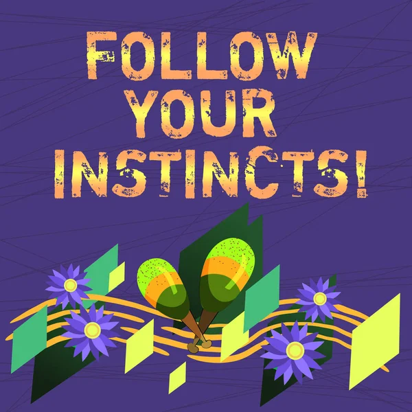 Conceptual hand writing showing Follow Your Instincts. Business photo text listen to your intuition and listen to your heart Colorful Instrument Maracas Flowers and Curved Musical Staff.
