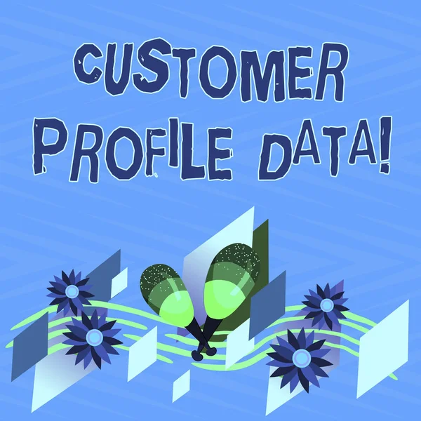 Text sign showing Customer Profile Data. Conceptual photo report about the type of demonstrating a company is trading Colorful Instrument Maracas Handmade Flowers and Curved Musical Staff.
