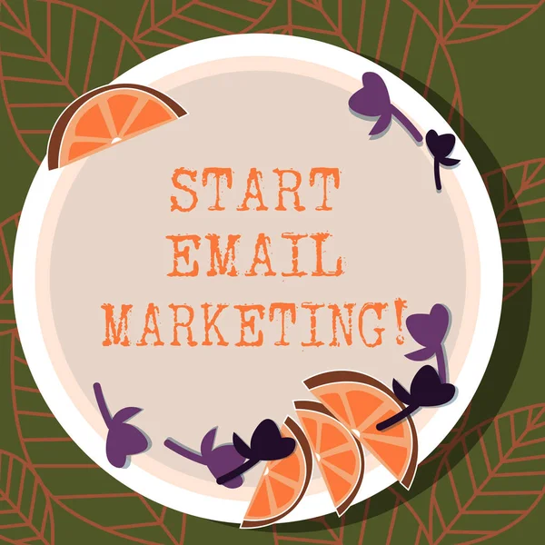 Writing note showing Start Email Marketing. Business photo showcasing Use of email to promote products andoror services Cutouts of Sliced Lime Wedge and Herb Leaves on Color Plate.