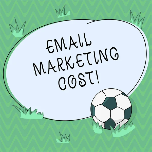 Word writing text Email Marketing Cost. Business concept for Is the price for sending a thousand email messages Soccer Ball on the Grass and Blank Outlined Round Color Shape photo.