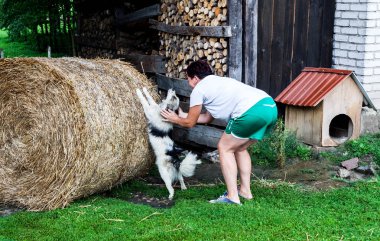 Arkadan görünüşü bir kadın ve sevimli köpek yavrusu birlikte saman ahır tarafında kazık kesilmiş orman boyunca inişli çıkışlı. Bayan önümüzdeki kışa hazırlanıyor. Kırsal yaşam kavramı.