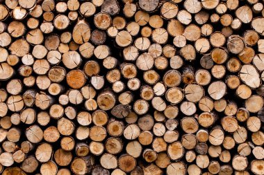 Sawed tree trunks and branches in different sizes, piled up in blue container Wood storage industry. Background of dry chopped firewood logs stacked up on top of each other in a pile clipart